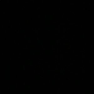 Meet your Posher, Daniela